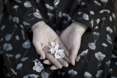 「花びら」