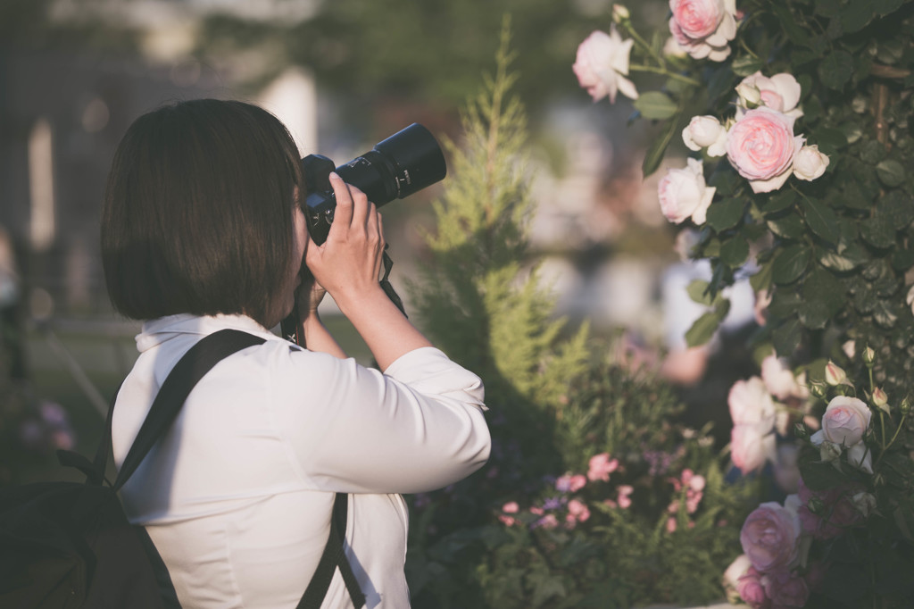 花は癒しの安らぎ