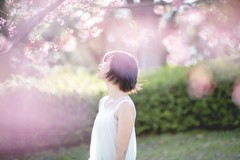 「桜のこぼれみ」