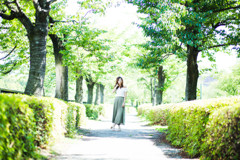 小幅の緑の道