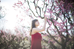 「華麗なる命」2