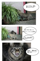 猫物語-2話-P11