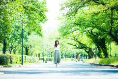 「green road 緑の道」～135mmバージョン～