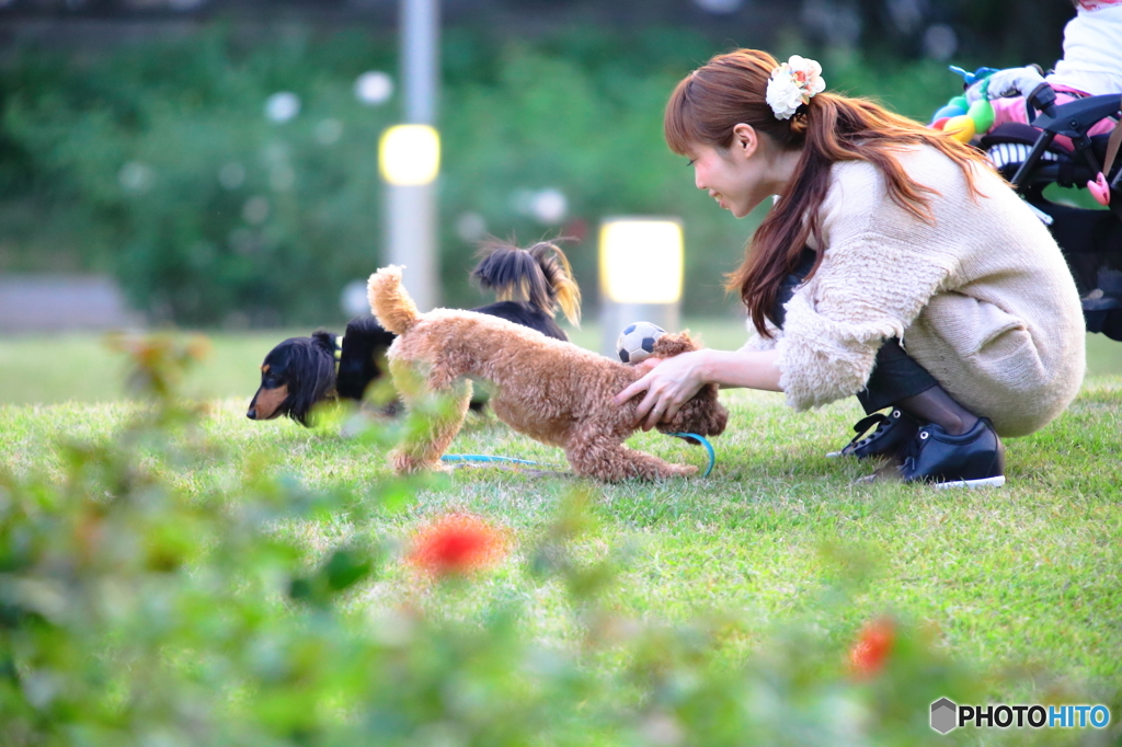 犬と女性 By White Gold Id 写真共有サイト Photohito