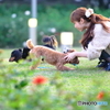 犬と女性
