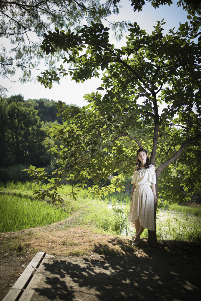「夏の太陽」3