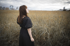 「Grassland world」3