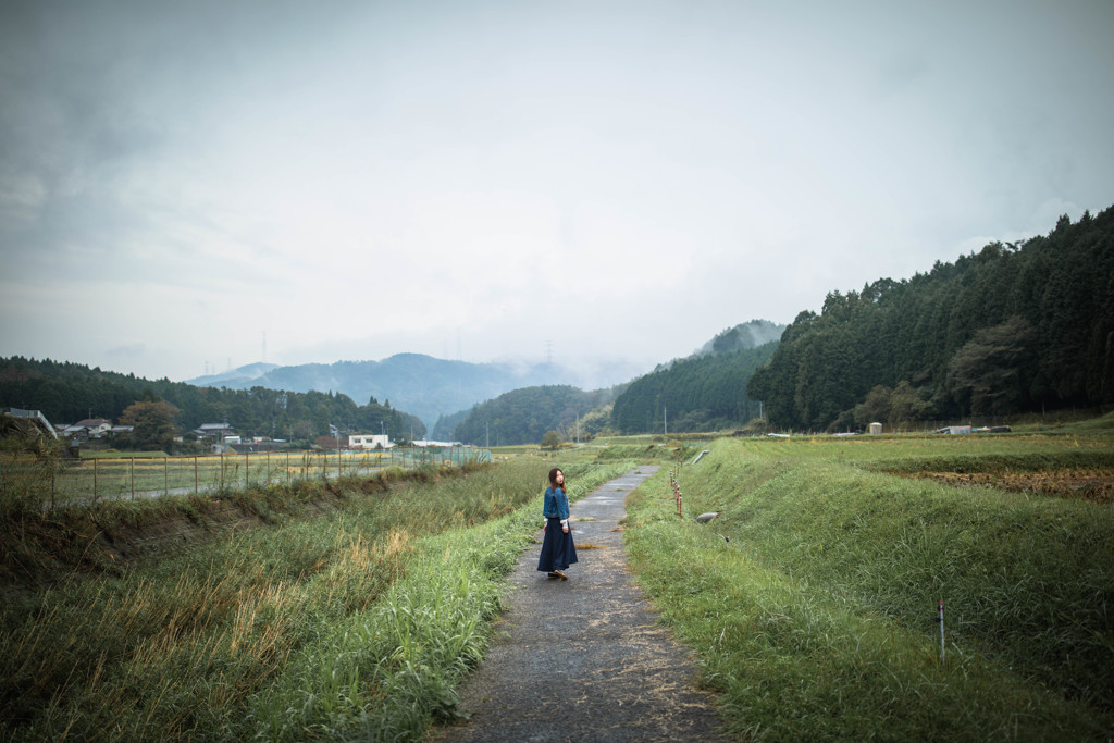 「Paddy field」3