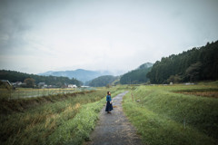 「Paddy field」3
