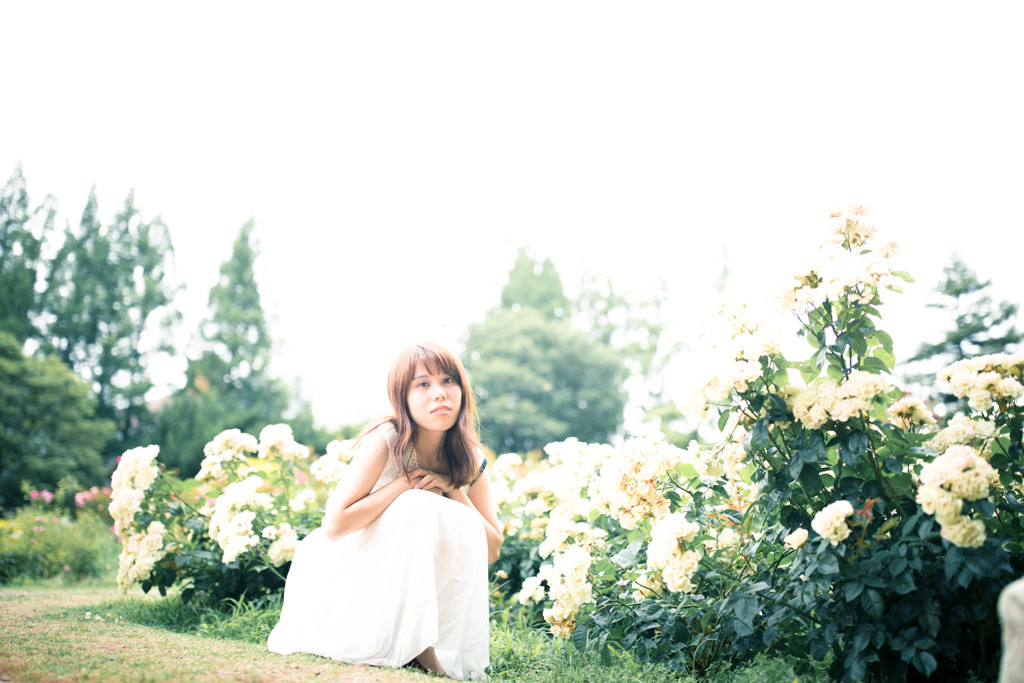 「day 朝の日差し」