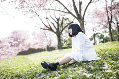 「桜でひととき」