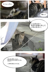 猫物語-2話-P3