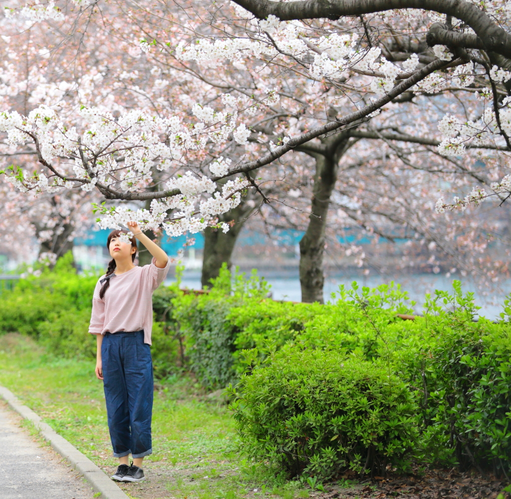 haru woman