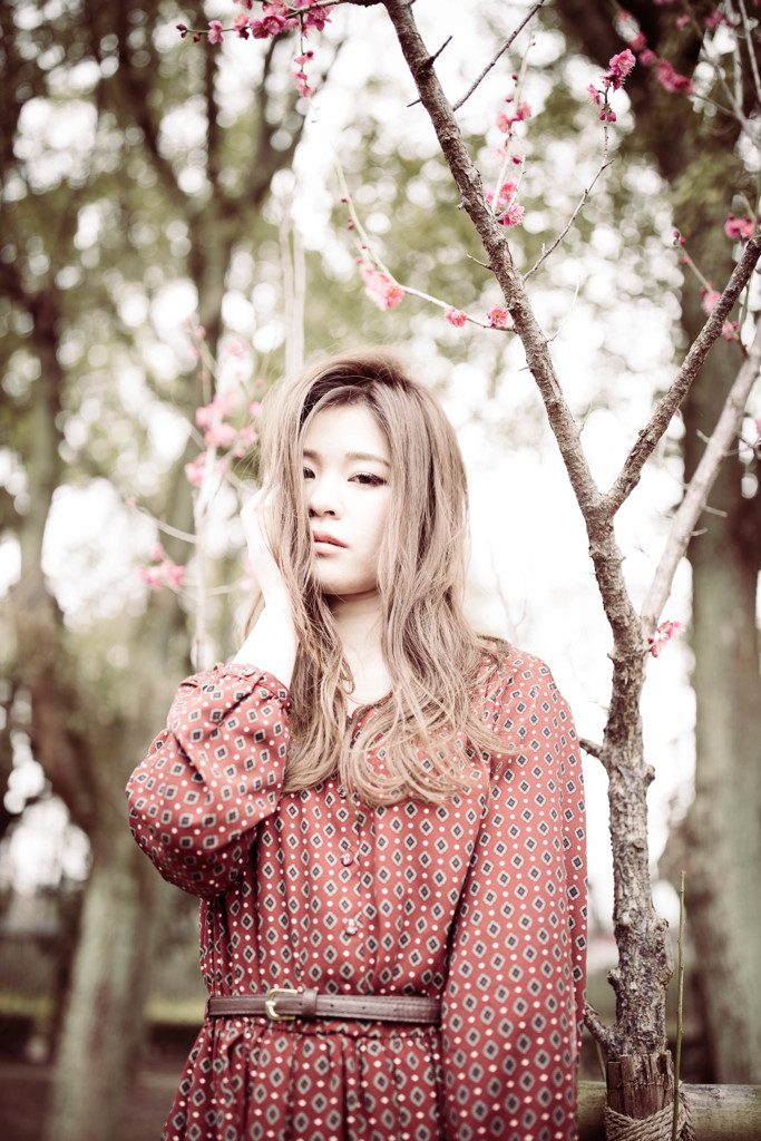 梅の花 少々咲いてます