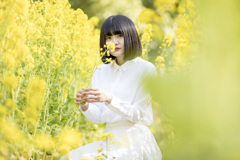 「春の黄色」