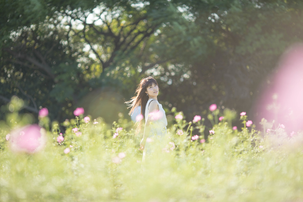 「few cosmos」