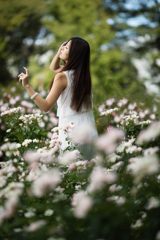 「花は散る、風は吹く、愛しさ溢れる、冬の冷たさ感じながら」
