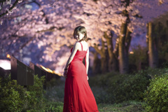 「夜桜」
