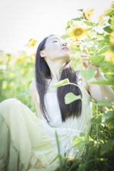 「sunflower」3