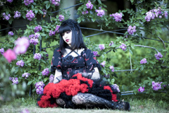 「薔薇と刺と刹那心」2