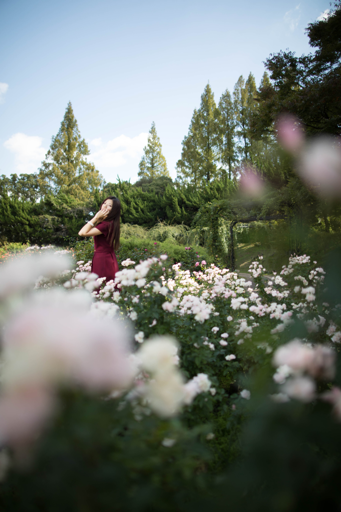 「never ending dream」
