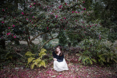 「Blooms in winter flower ～冬に咲く花～」