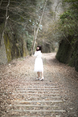 「線路ゴトゴト走る」