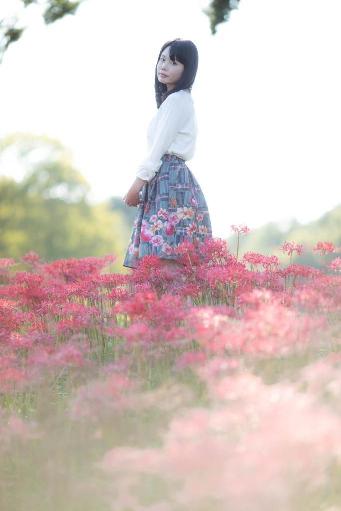 「非GUN花」