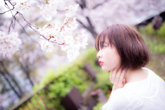 「The brain is wider than the sky.」