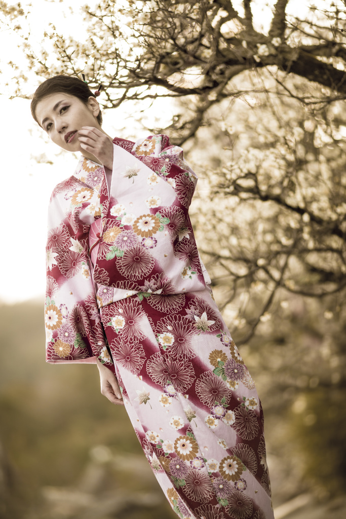 「梅の花 美しく咲き そして散る 」