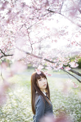 「ハルイロ」