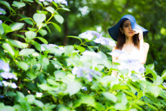 「咲く紫陽花」2