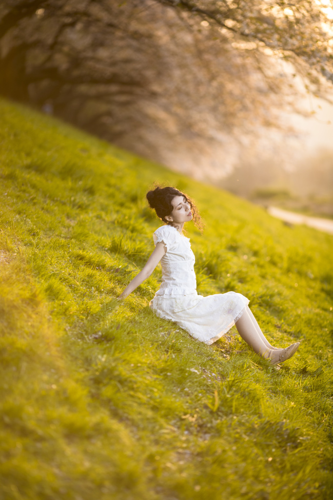 「Setting sun flowers」