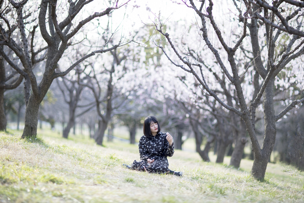 「春の風に」