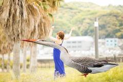 動物と ふれあう3
