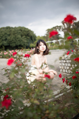 「薔薇には棘がある」