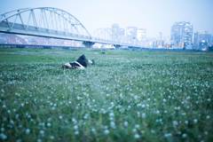 新Quiz 4          /Image_bb91635
