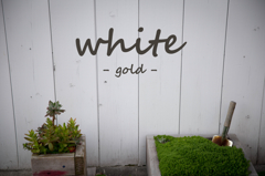 white gold
