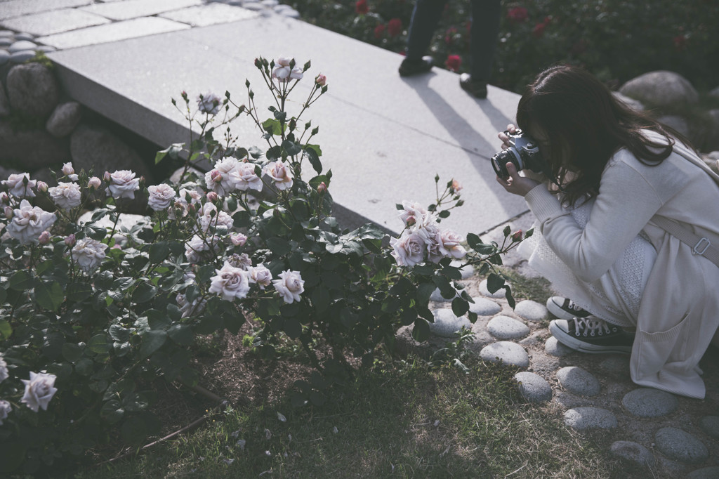 CAMERA WOMAN 白花とカメラ女子