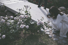 CAMERA WOMAN 白花とカメラ女子
