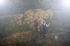 「Autumn river」