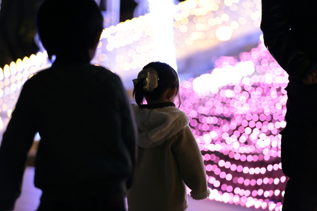 兄妹の子供たち