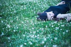 新Quiz 6          /Image_0322702