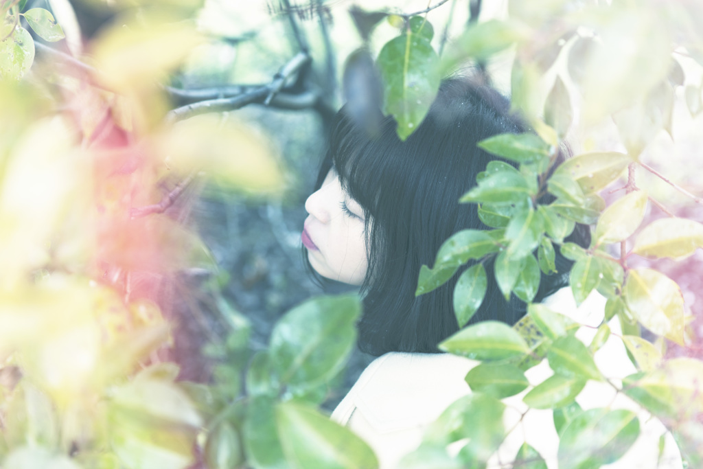 「heart of love」