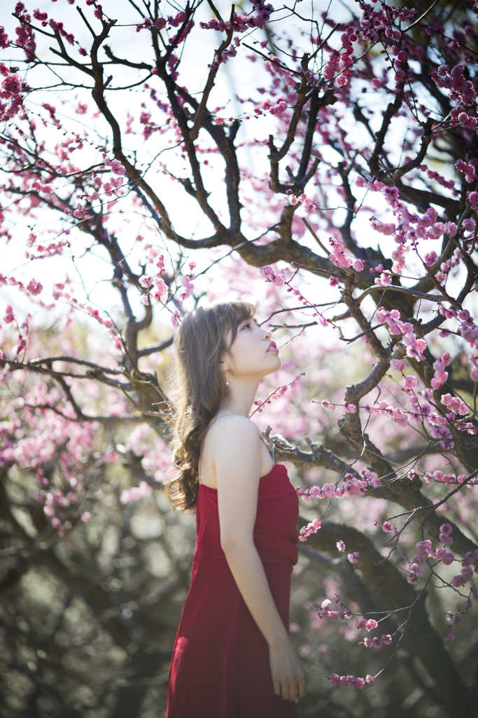 「華麗なる命」