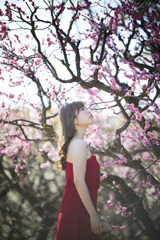「華麗なる命」