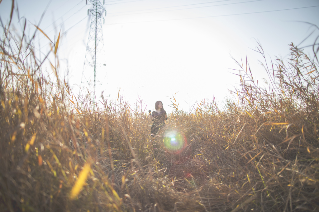 「Mirage of baked field」