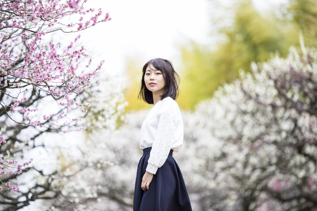 「雨と梅と風」