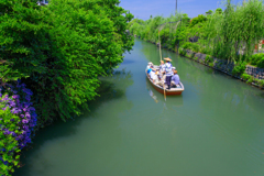 初夏の柳川下り