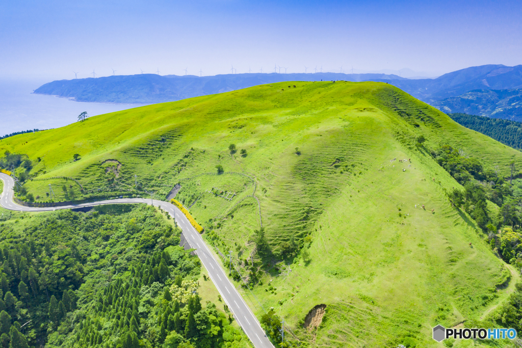 都井岬全景